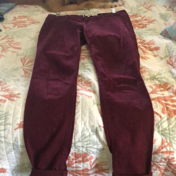 Hollister Denim - Hollister Skinny Jeans   Burgundy   Size 9R